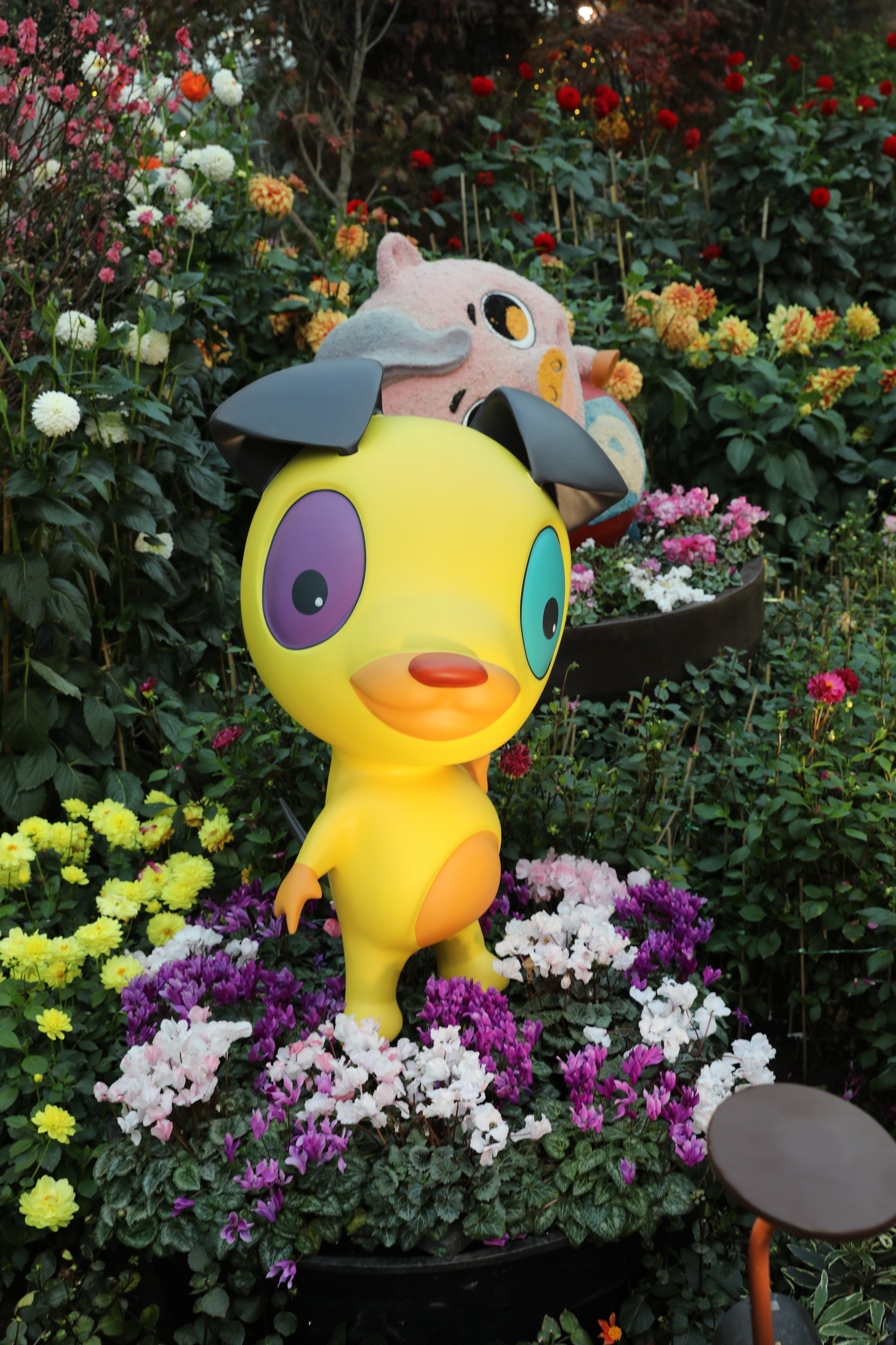 2020 02 03 18 47 18 Canon EOS 5D Mark IV 0067